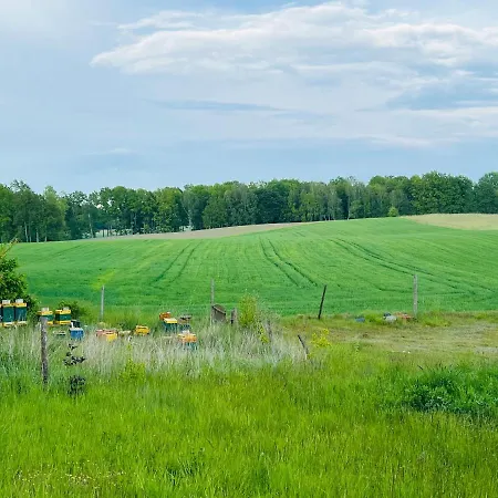 Piekna Pszczola * Stare Polaszki