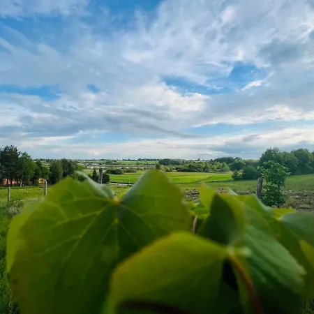 Piekna Pszczola 农家乐 Stare Polaszki